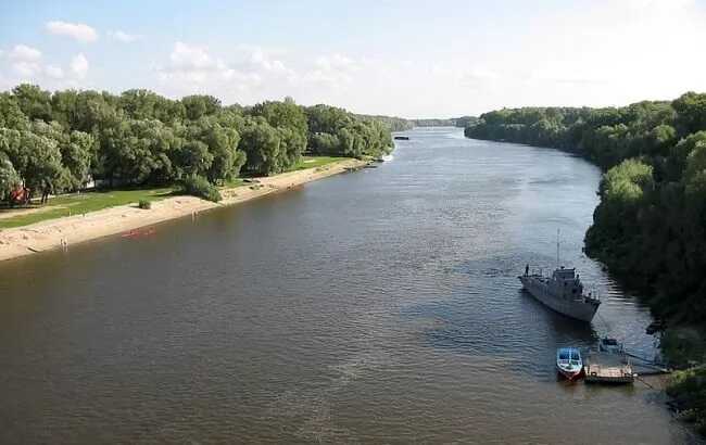 Забруднена вода із загиблою рибою дійшла до Чернігівщини, - Міндовкілля