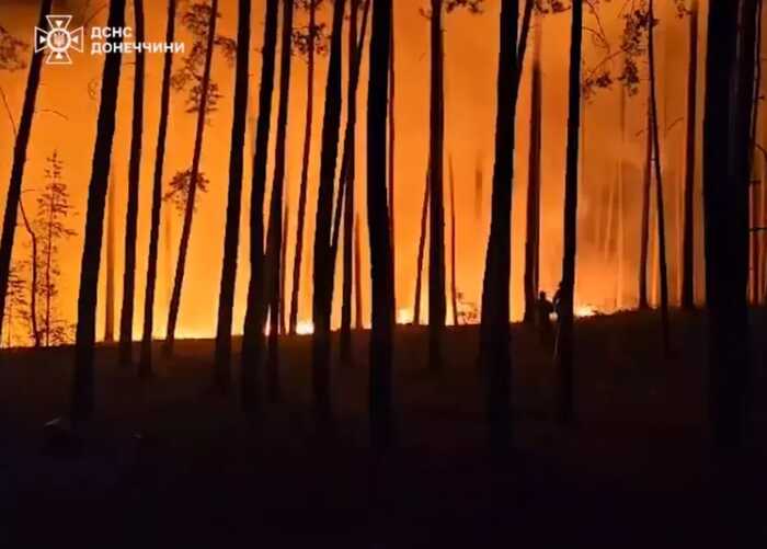 Через війну на відновлення лісів в Україні може знадобитися майже 100 років