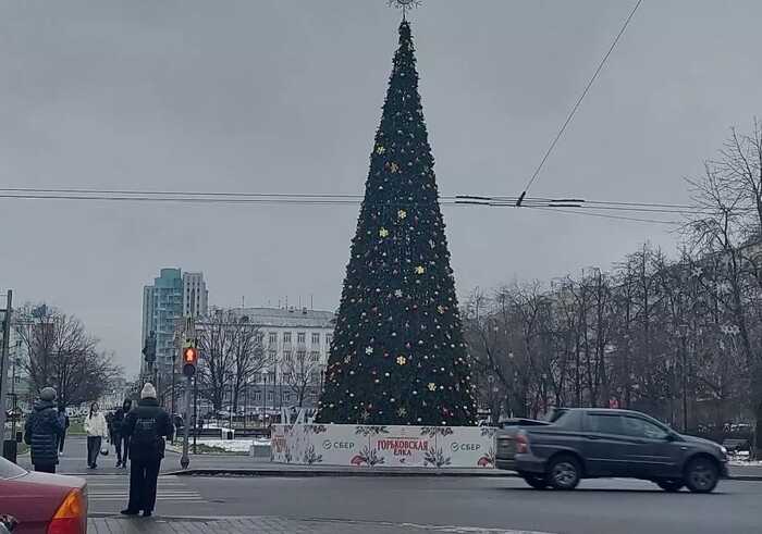 Мешканці Нижнього Новгорода поскаржились синьо-жовті прикраси новорічної ялинки