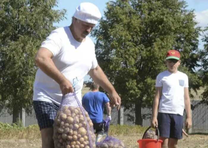 У Білорусі магазини каратимуть за відсутність картоплі