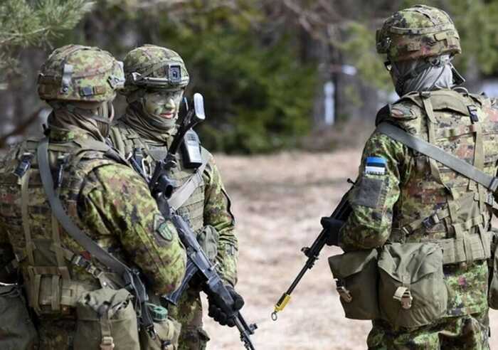 Естонія погодилася відправити в Україну миротворчі сили